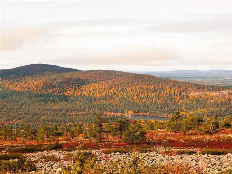 shutterstock_2376664525